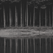 Aesthetic Forest GIF - Aesthetic Forest Wattpad GIFs