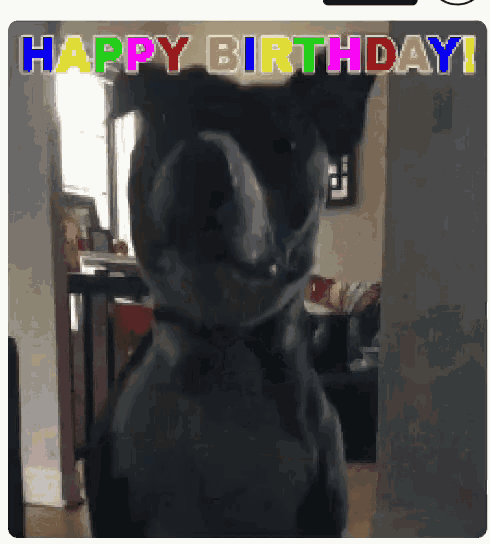 happy birthday cute animal