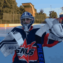 Snus Stars Hockey GIF - Snus Stars Hockey Snus GIFs