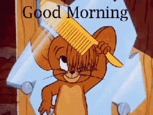 Good Morning Jerry GIF - Good Morning Jerry Comb GIFs