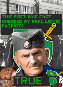Real Patriots GIF - Real Patriots Ljotic GIFs