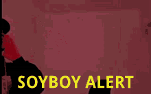 soyboy alarm