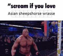 Scream If You Love Asian Sheepshead Wrasse GIF - Scream If You Love Asian Sheepshead Wrasse GIFs
