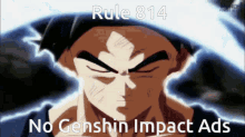 rule rules goku goku ultra instinct goku rules