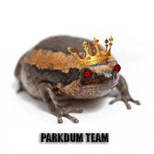 Parkdum Team GIF
