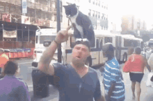 Fairysoobs Man With Cat GIF - Fairysoobs Man With Cat Angry GIFs