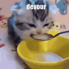 Devour Cat GIF - Devour Cat Milk GIFs