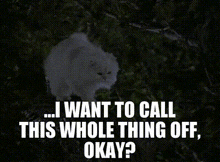 Stuart Little Snowball GIF - Stuart Little Snowball I Want To Call This Whole Thing Off Okay GIFs