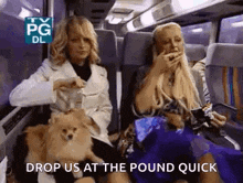 two women are sitting on a bus with their dogs and the words `` drop us at the pound quick '' .