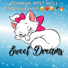 Sweet Dreams Cat GIF