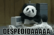 Panda Enfadado Despedida GIF - Panda Enfadado Despedida GIFs