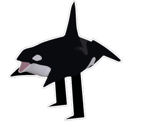 Orca Squat 3136 Sticker - Orca Squat Orca Squat Stickers