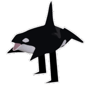 Orca Squat 3136 Sticker