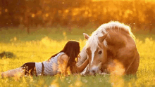 Horse Pet GIF - Horse Pet Love GIFs