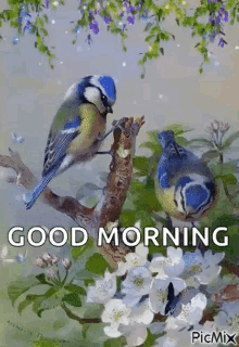 Good Morning Birds GIF - Good Morning Birds Butterflies GIFs