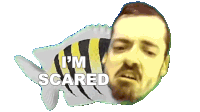 Im Scared Ricky Berwick Sticker - Im Scared Ricky Berwick Im Frightened Stickers