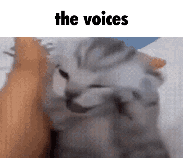 The Voices