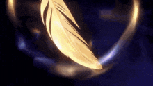 a golden feather is floating in the air in a dark room .