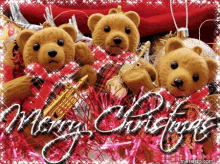Merry Christmas Bears GIF - Merry Christmas Bears Sparkle GIFs