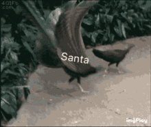 Riki Santa GIF - Riki Santa Sanri GIFs