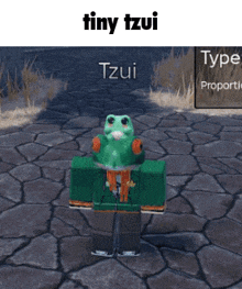 a picture of a frog in a video game with the name tiny tzui