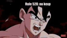 Rule528 GIF - Rule528 GIFs