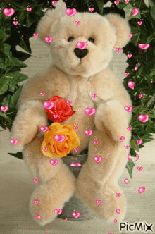 Teddy Bear Love GIF - Teddy Bear Love Roses GIFs