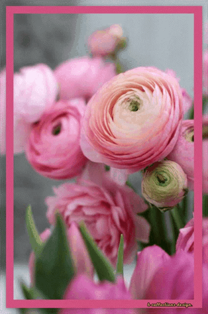 Flowers Beautiful GIF - Flowers Beautiful Roses - Discover & Share GIFs