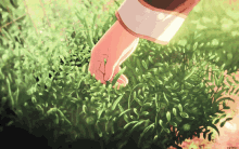 Grass Cute GIF - Grass Cute Soft GIFs
