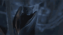летучая мышь привет GIF - Bat Hello Opening GIFs