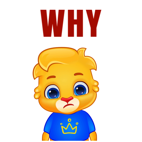 Why Why Not Sticker - Why Why Not Why Me Stickers
