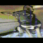a pixelated image of a dog with a very large ear