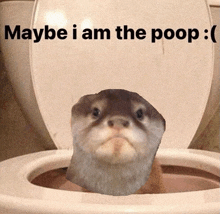 Maybe I Am The Poop Otter Sad GIF - Maybe I Am The Poop Otter Sad Depressed GIFs