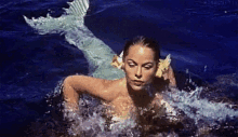 Pisces Mermaid GIF - Pisces Mermaid Shocked Face GIFs