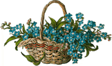 flowers blue flowers flower basket