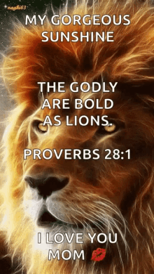 Lion Godly GIF - Lion Godly Bible Verse GIFs