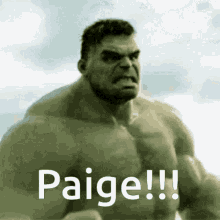 Paige Jonoodle GIF - Paige Jonoodle GIFs