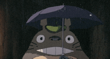 Totoro Rain GIF - Totoro Rain Rainy Day GIFs