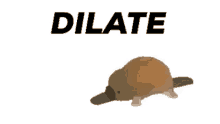 Dilate Cope GIF - Dilate Cope Seethe GIFs