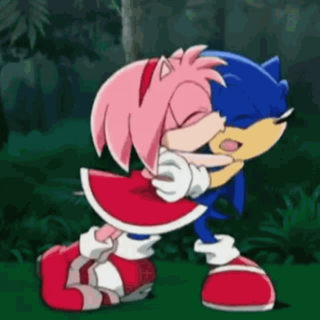 Sonamy  Sonic and shadow, Hedgehog art, Sonic and amy