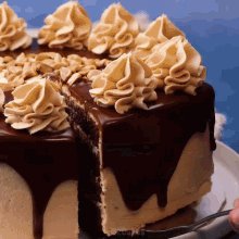 a cake with chocolate frosting and peanut butter is being eaten