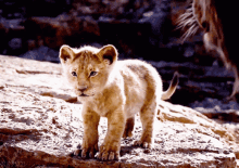 Lion King Roar GIF - Lion King Roar I Can Do It GIFs