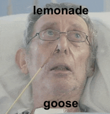Lemonadegoose Old GIF - Lemonadegoose Old GIFs