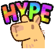 a cartoon of a hamster with the word hype written on it .