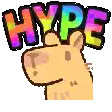 a cartoon of a hamster with the word hype written on it .
