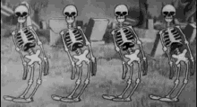 halloween skeletons gif