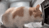Sanromii Slow Turning Cat GIF - Sanromii Slow Turning Cat GIFs