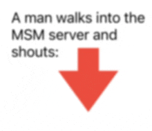 a man walks into a msm server and shouts