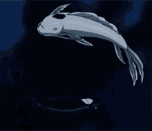 GIF