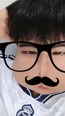 a man wearing glasses and a fake mustache on his face